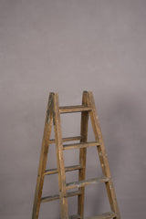 11961 Beige Rose Low Text M