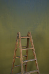 Green Blue Backdrop Mid Text M 11965