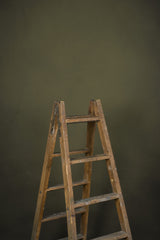 11969 Olive Green Low Text M