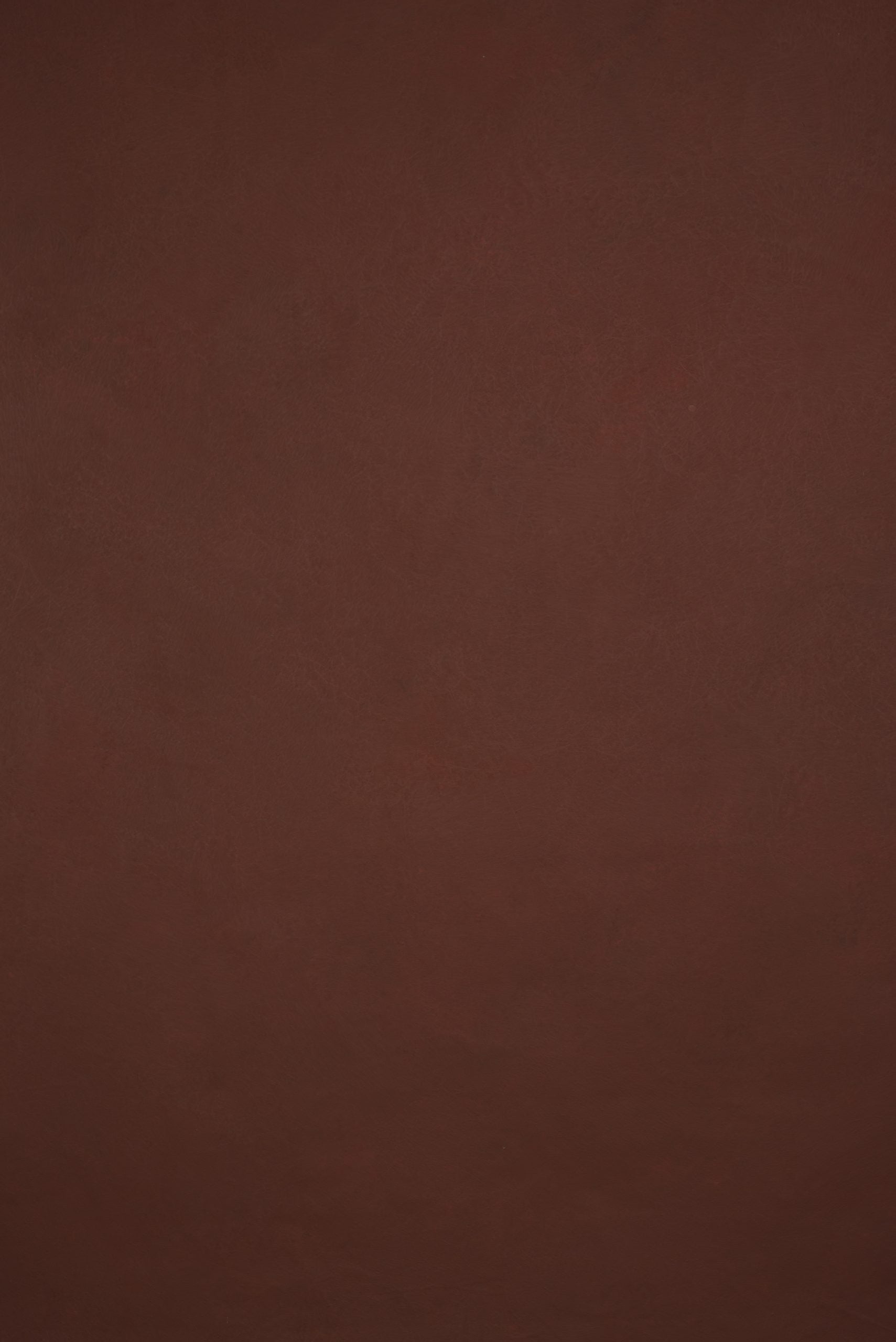 11972 Red Low Text M