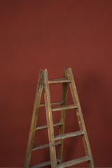 11973 Red Low Text M