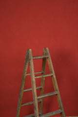 11974 Red Low Text M