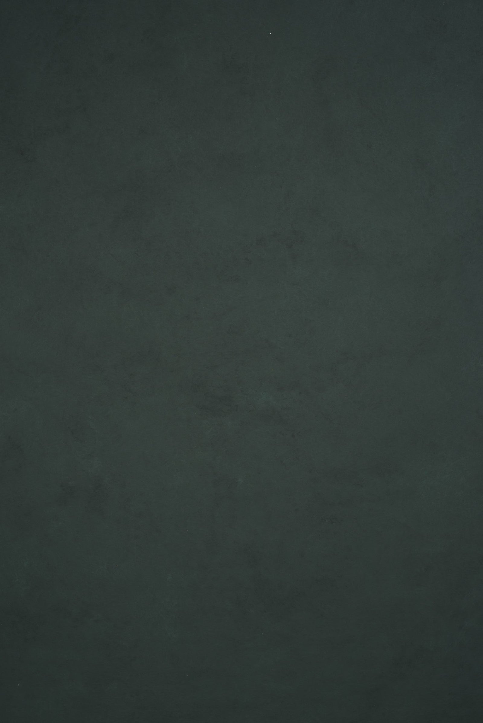 11975 Tirquize Low Text M
