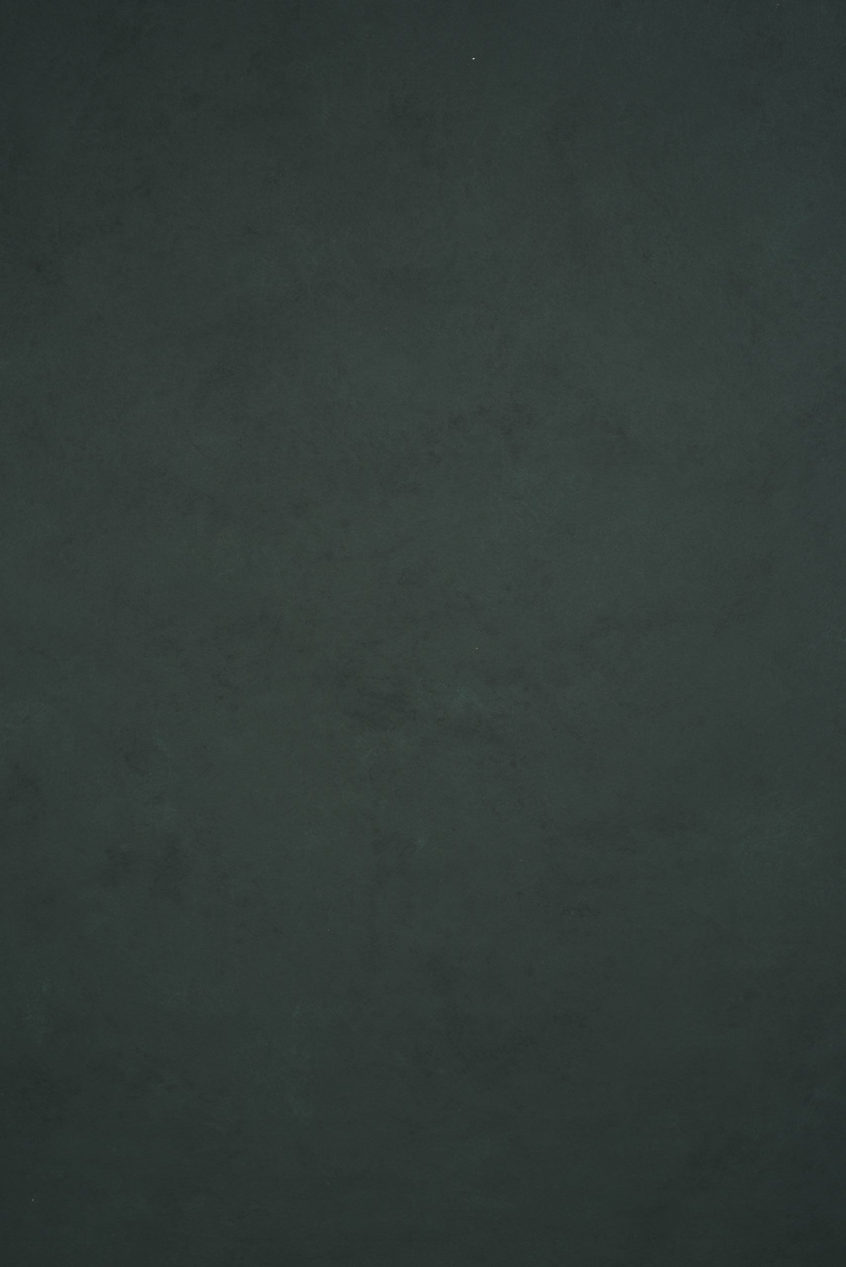 11975 Tirquize Low Text M