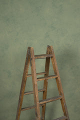 11976 Tirquize Beige Mid Text M