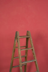 11977 Pink Low Text M