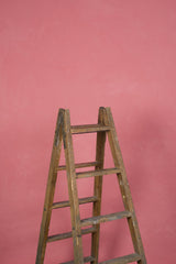 11979 Pink Low Text M