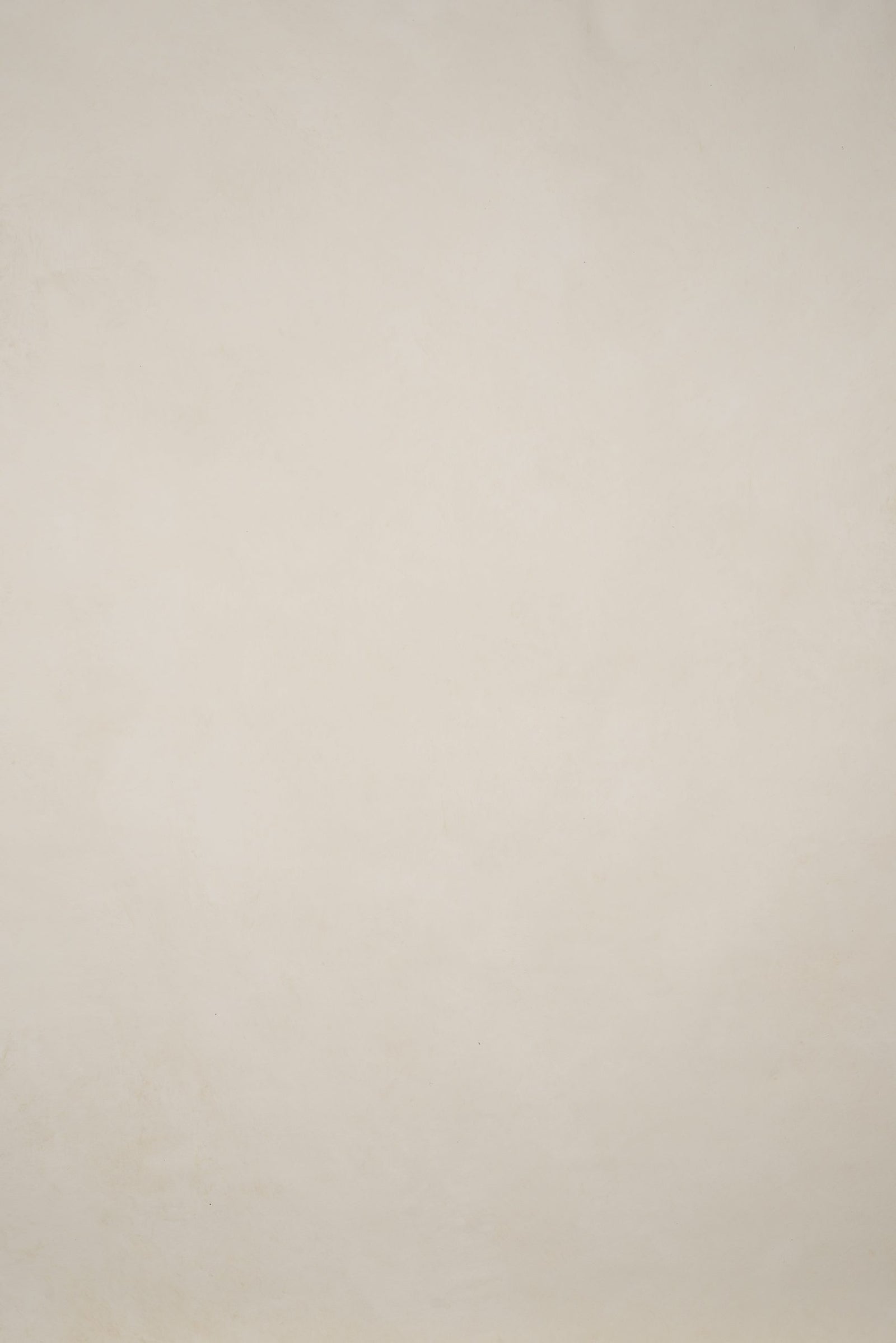 1198 Beige Low Text L+
