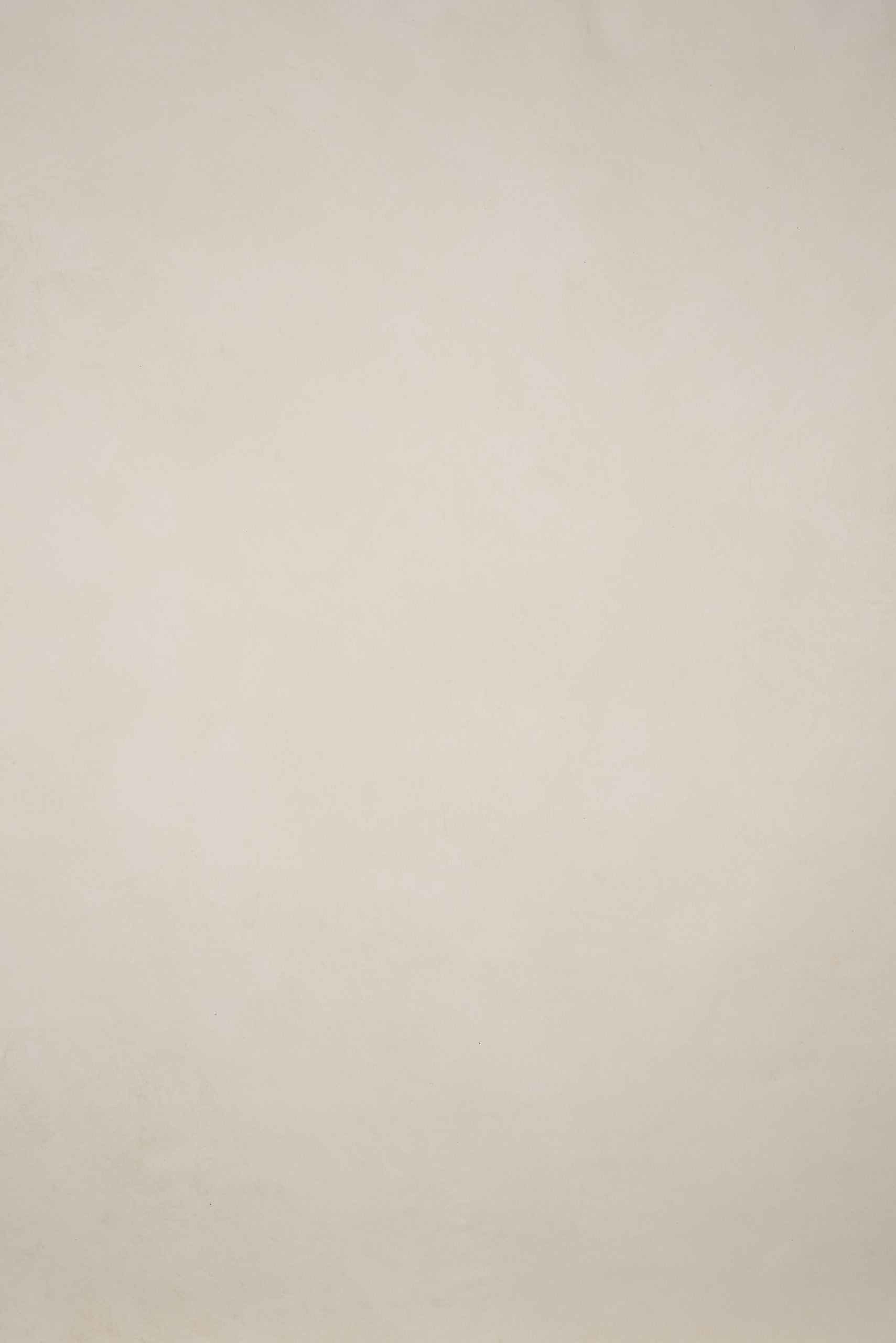1198 Beige Low Text L+