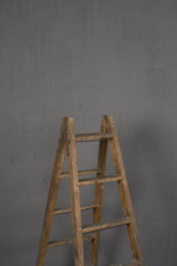 11983 Grey Low Text ST