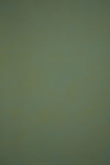 11995 Green Low Text ST