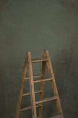 12001 Green Brown Strong Text ST
