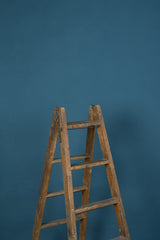12003 Blue Low Text ST
