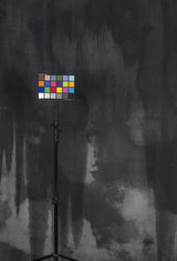 12029 Grey Strong Text L
