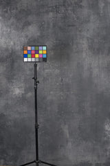 12034 Grey Distressed Text L