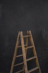 12038 Dark Grey Mid Text L