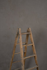 12047 Warm Grey Mid Text L