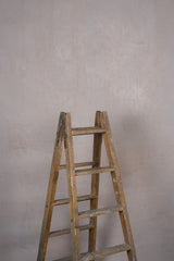 12060 Beige Rose Low Text L