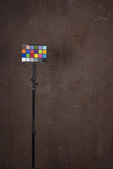 12062 Brown Strong Text L