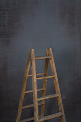 12063 Cold Grey Brown Strong Text L