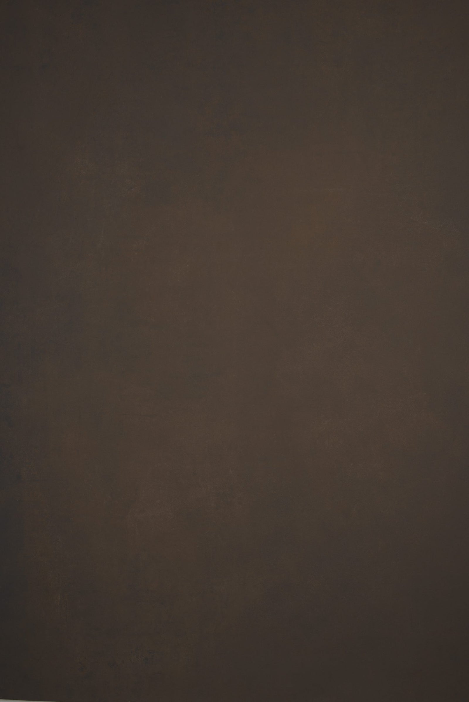 12066 Brown Low Text L