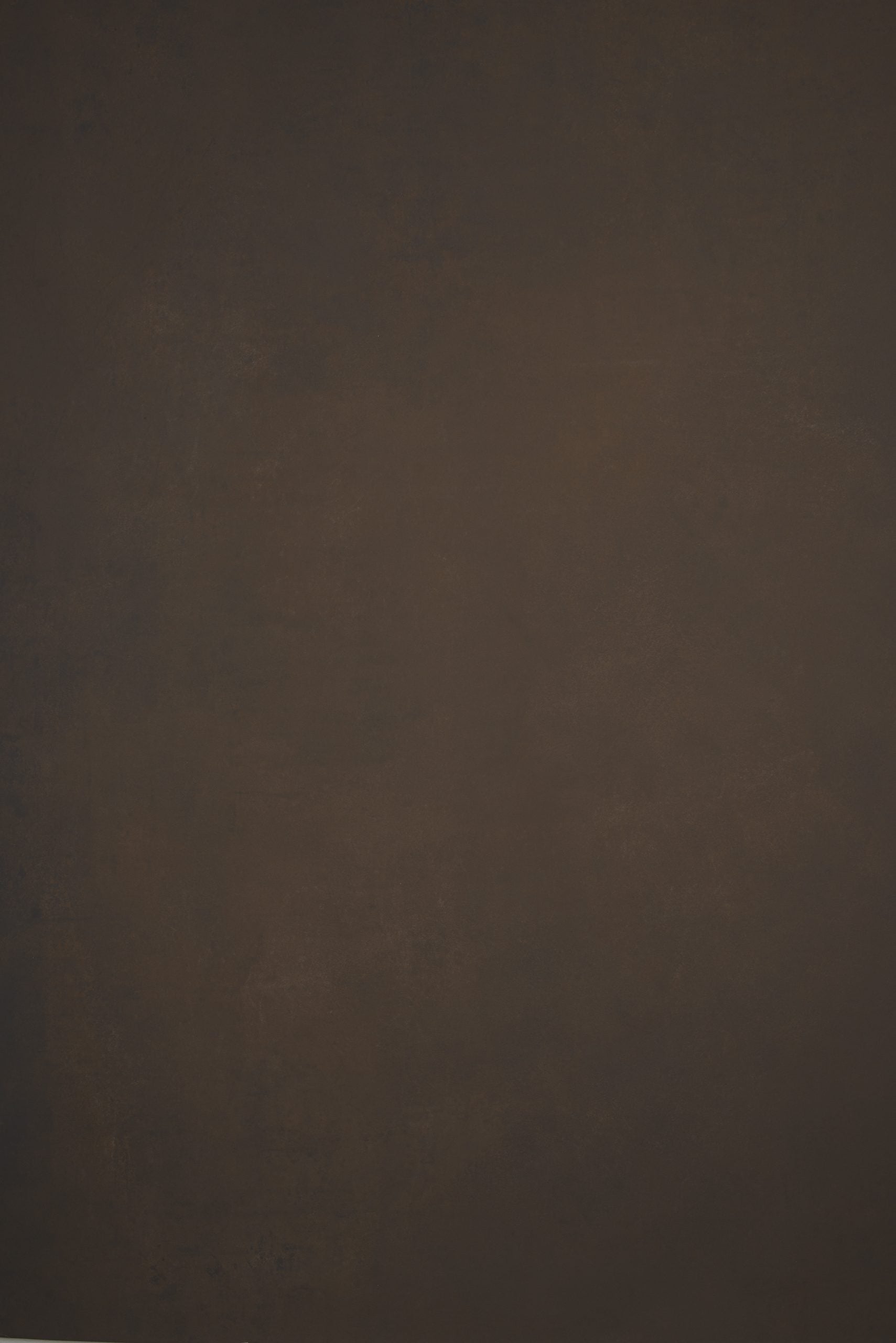 12066 Brown Low Text L