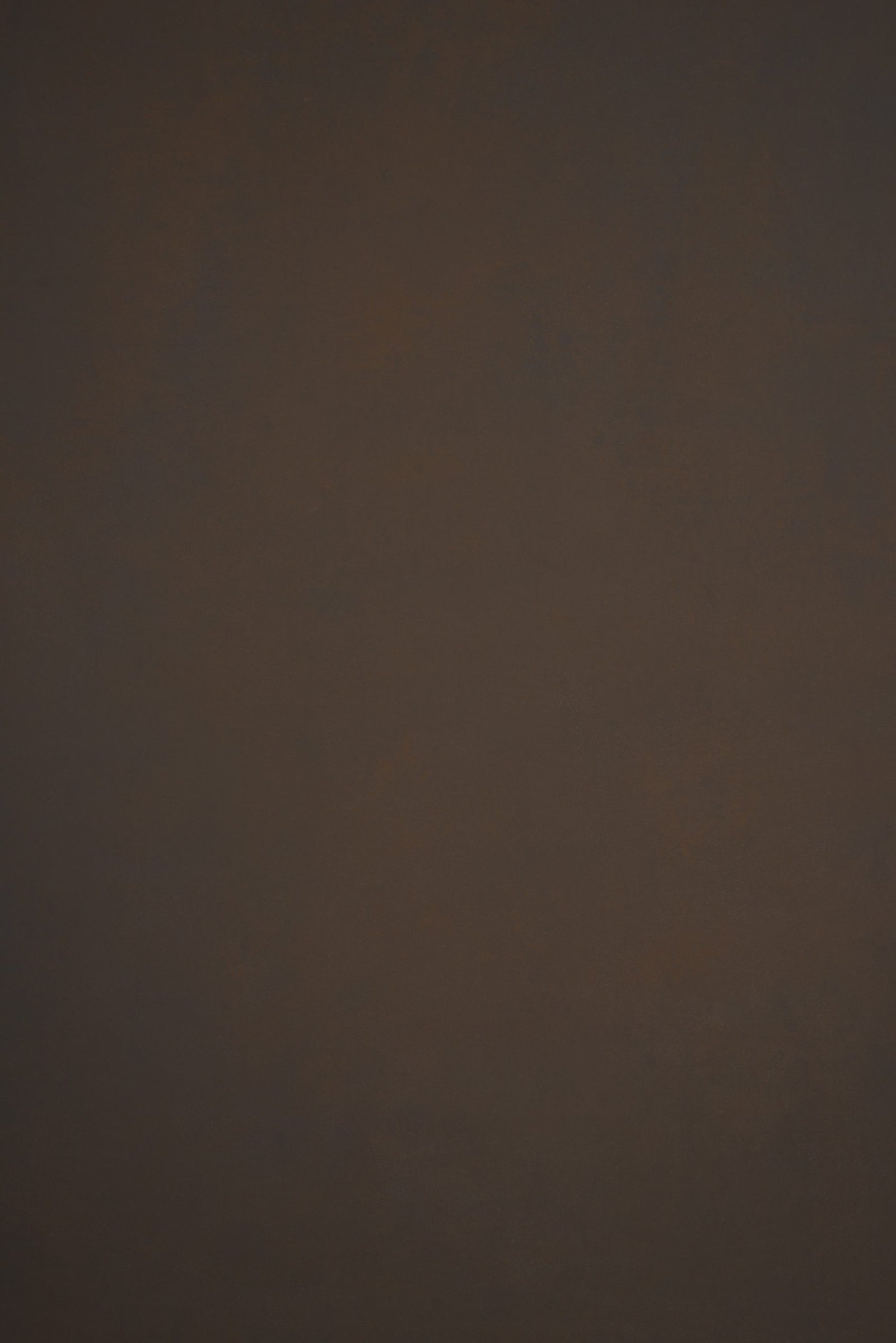 12067 Brown Low Text L