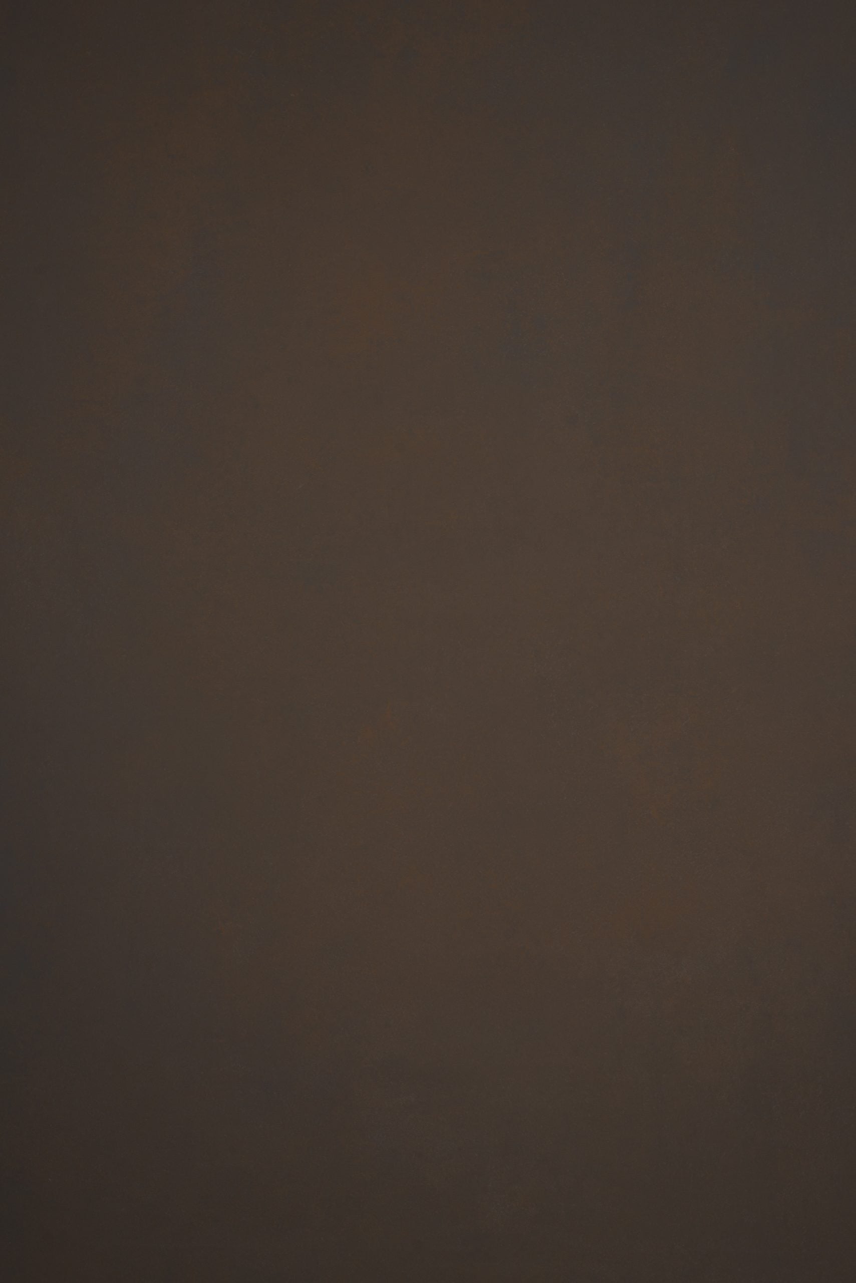 12067 Brown Low Text L