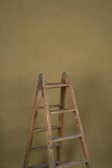 12082 Green Low Text L