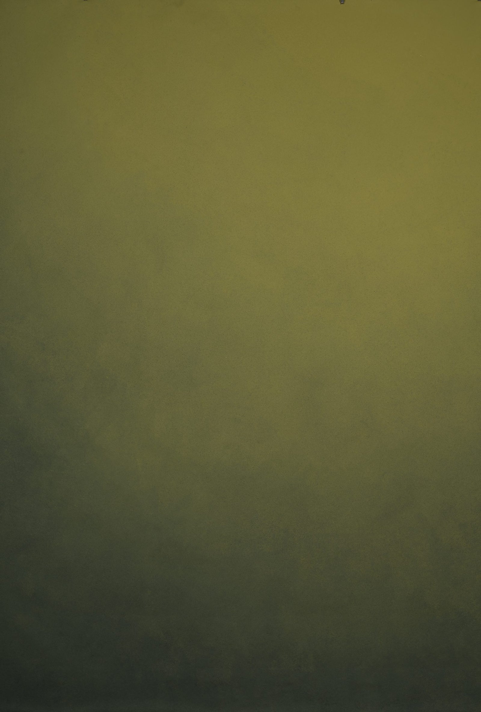 12083 Green Low Text L