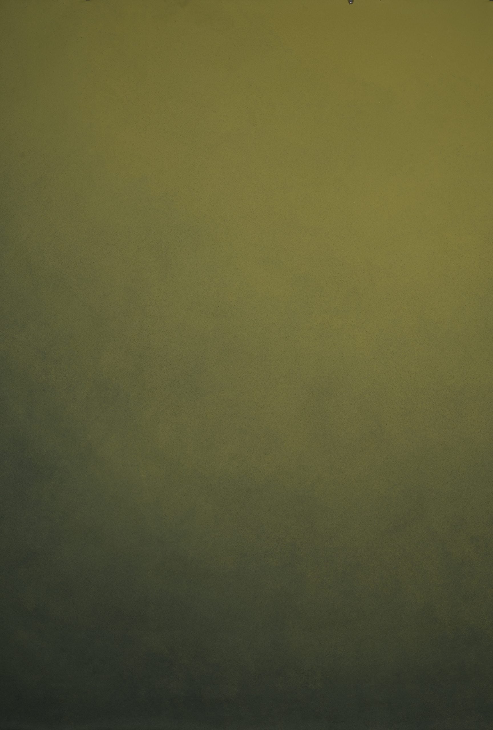 12083 Green Low Text L