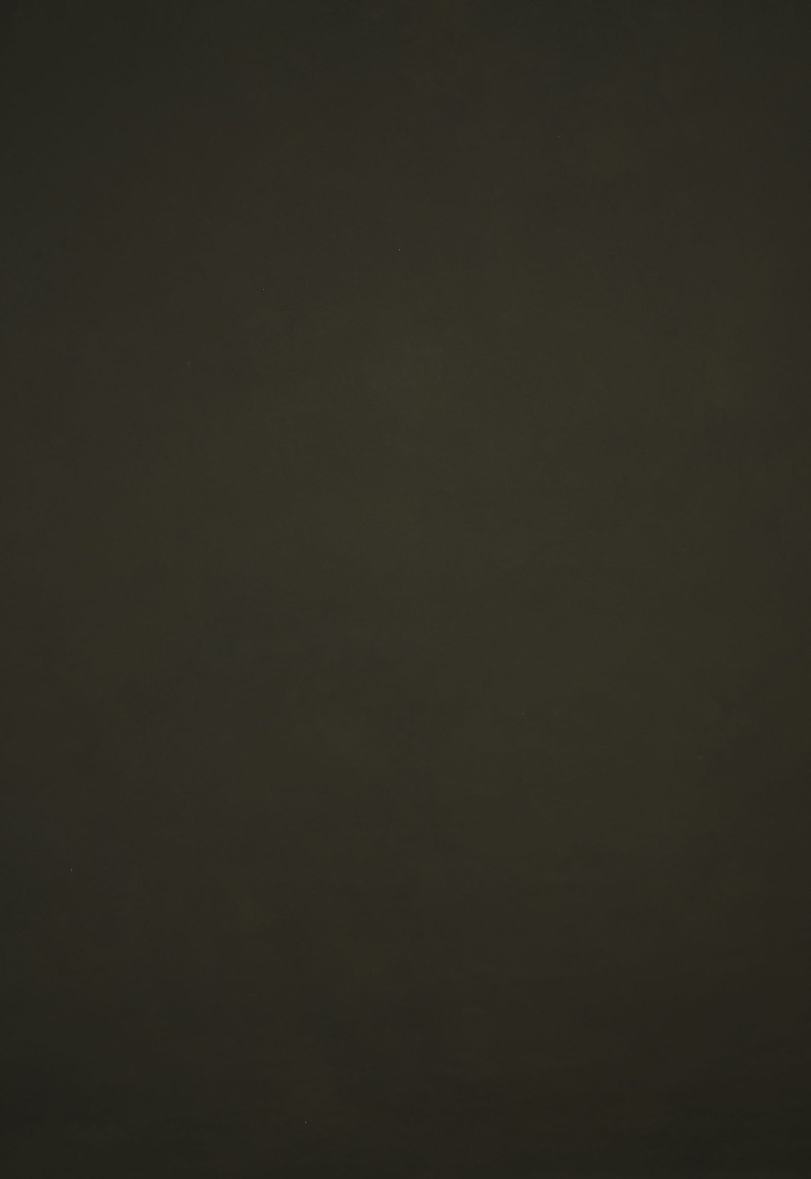 12097 Olive Green Low Text L