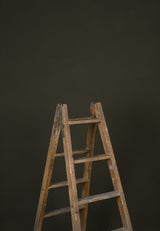 12097 Olive Green Low Text L