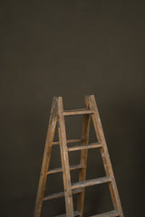 12098 Olive Green Low Text L