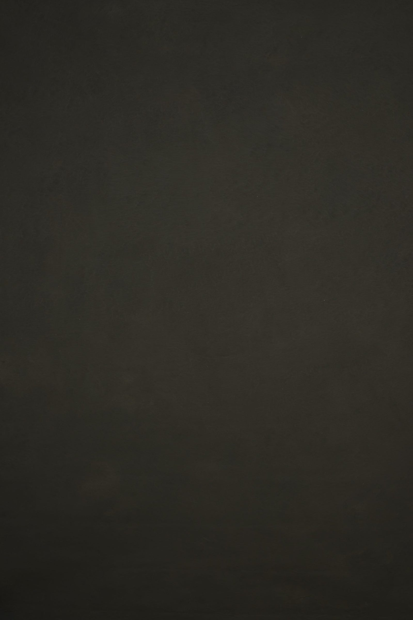 12105 Dark Olive Green Low Text L