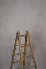 12112 Beige Low Text L