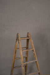 12113 Beige Low Text L