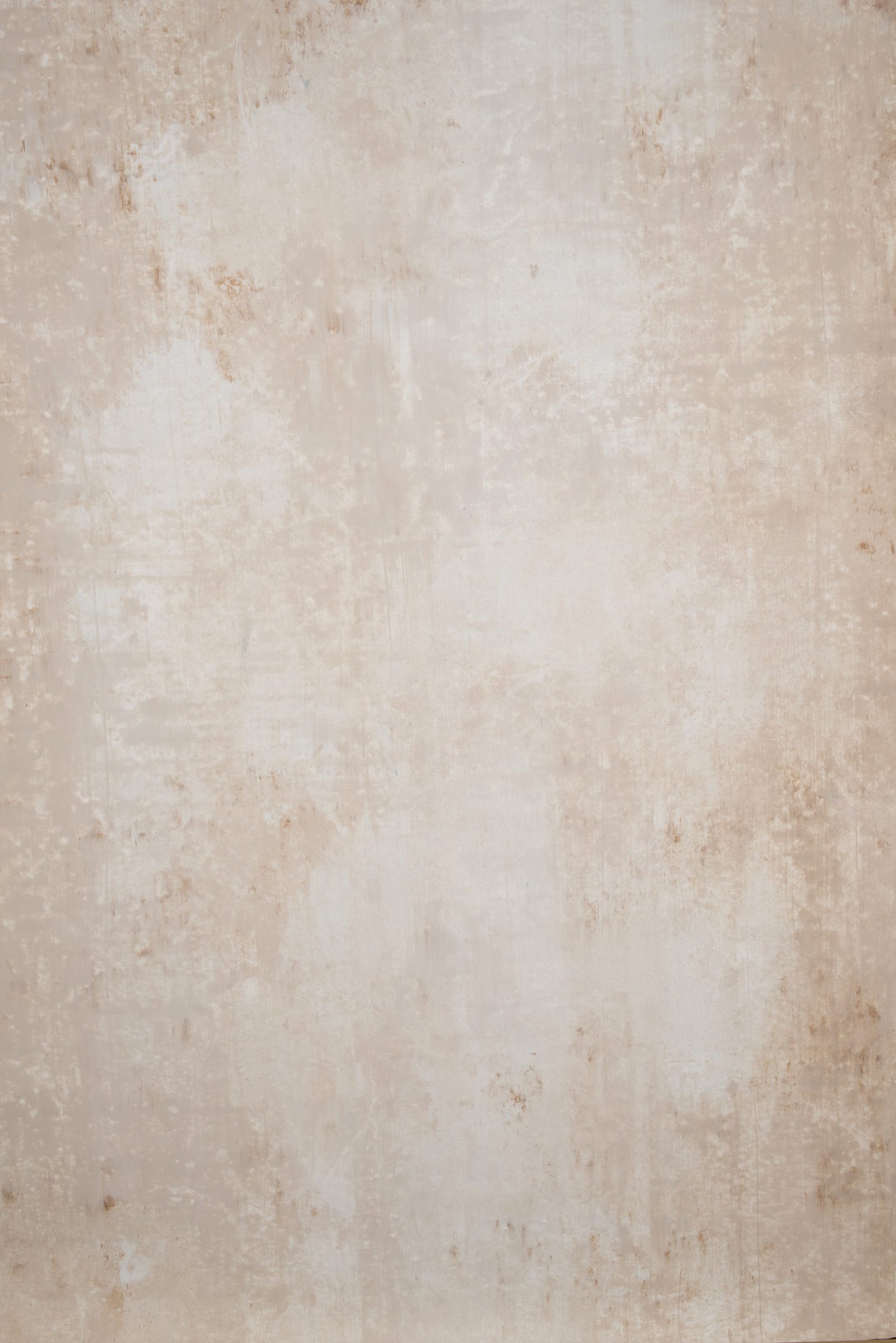 12116 Beige Strong Text L