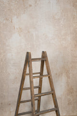 12116 Beige Strong Text L