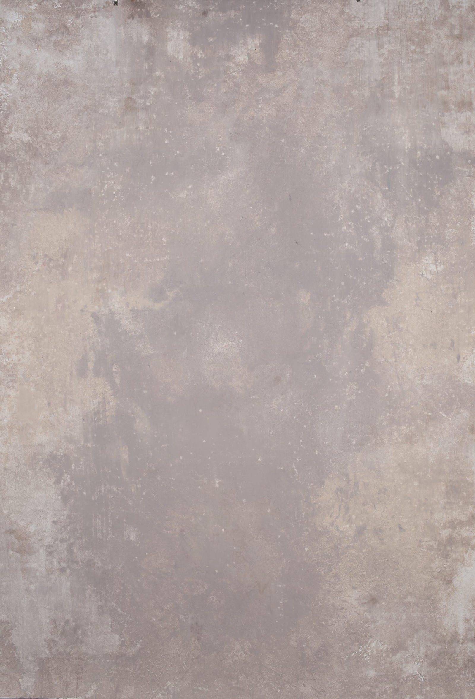 12119 Beige Strong Text L