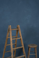 1212 Blue Low Text L+