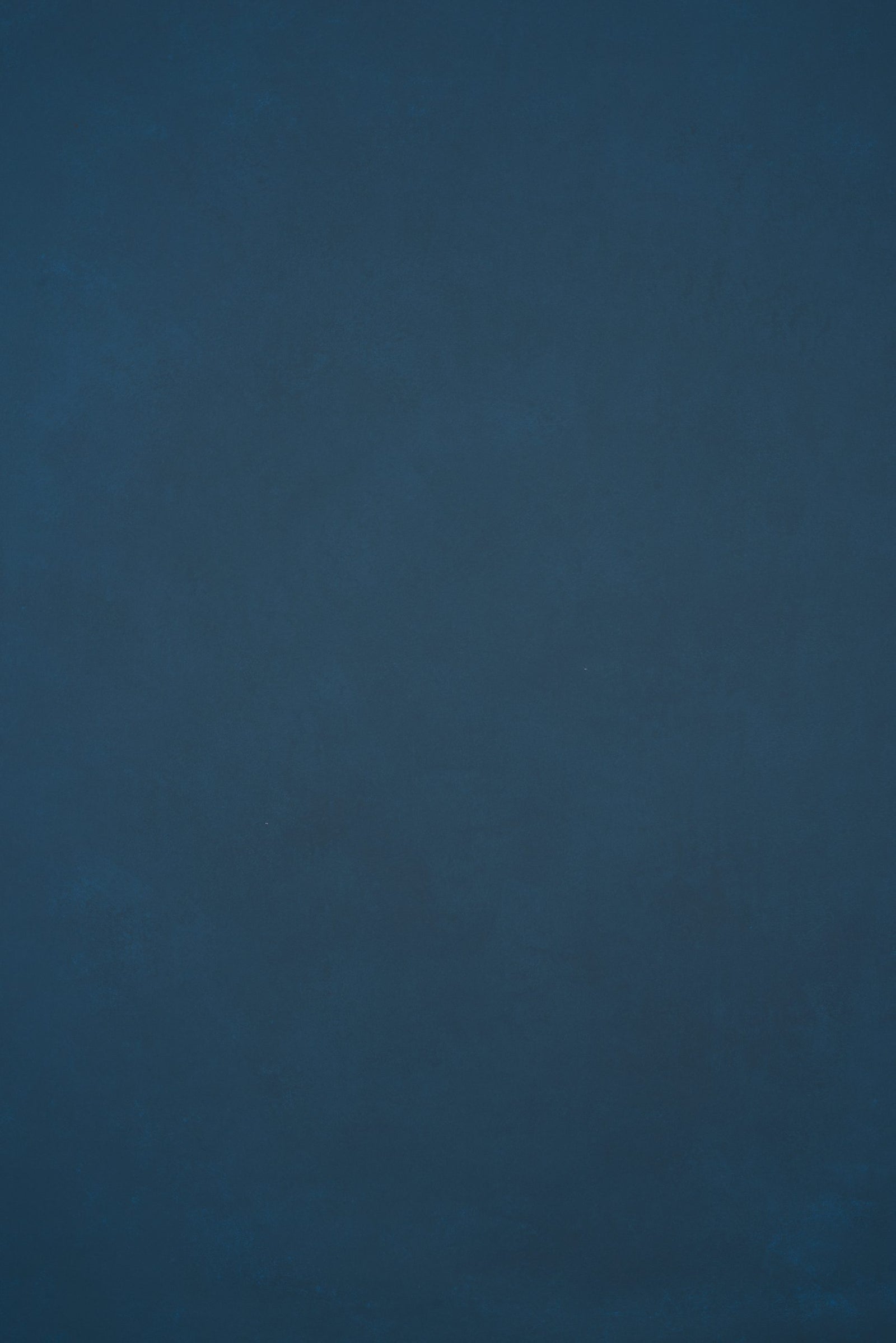 12133 Blue Low Text L