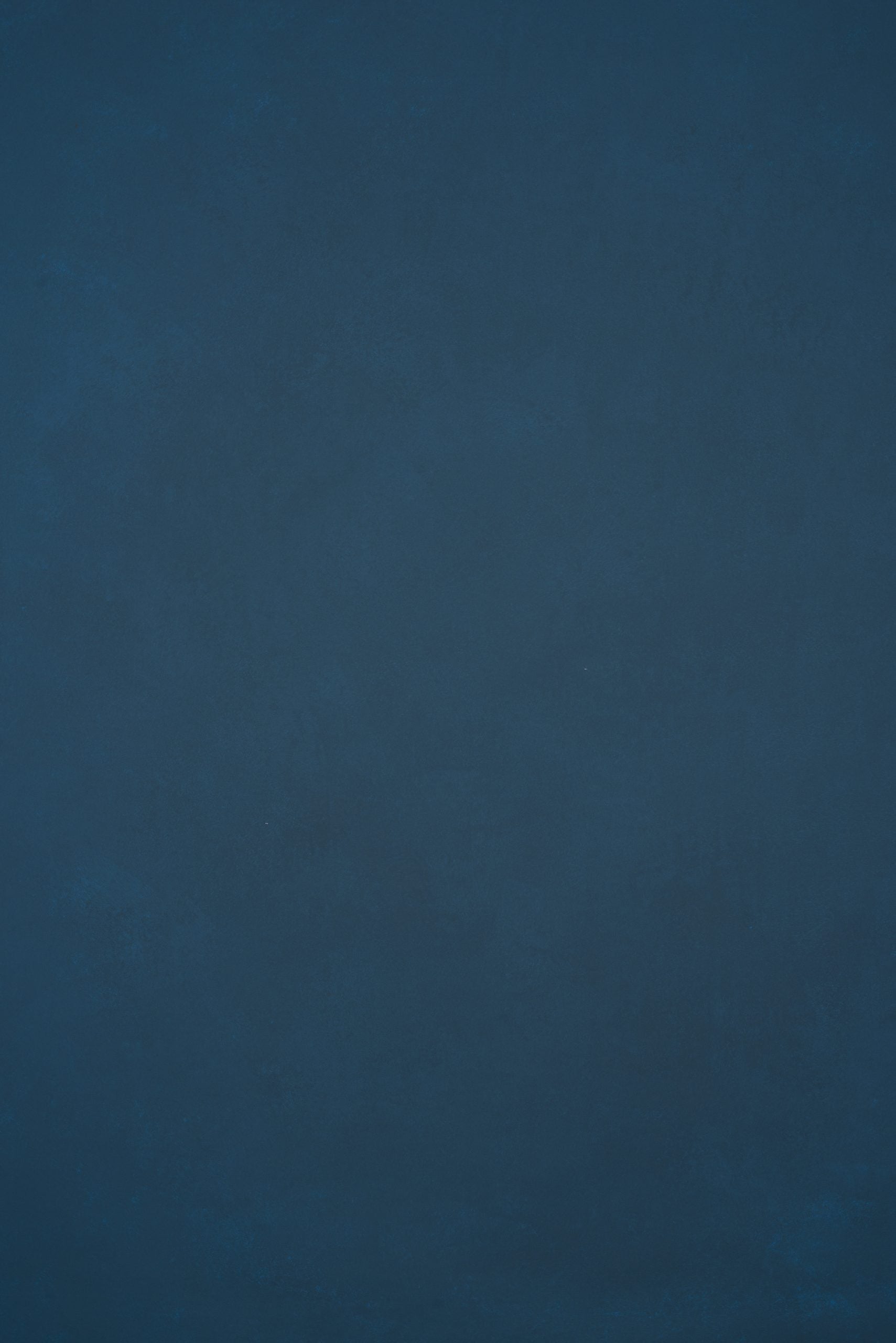 12133 Blue Low Text L