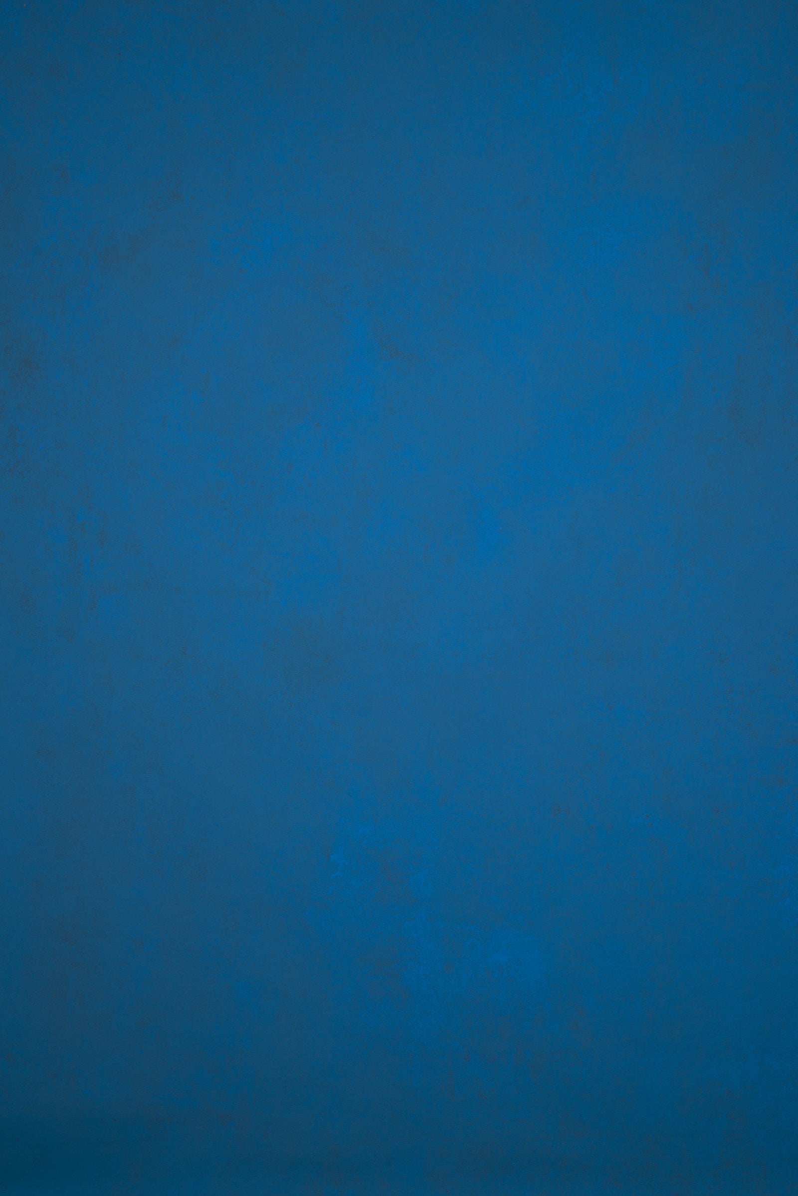 12134 Blue Low Text L