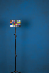 12135 Blue Mid Text L