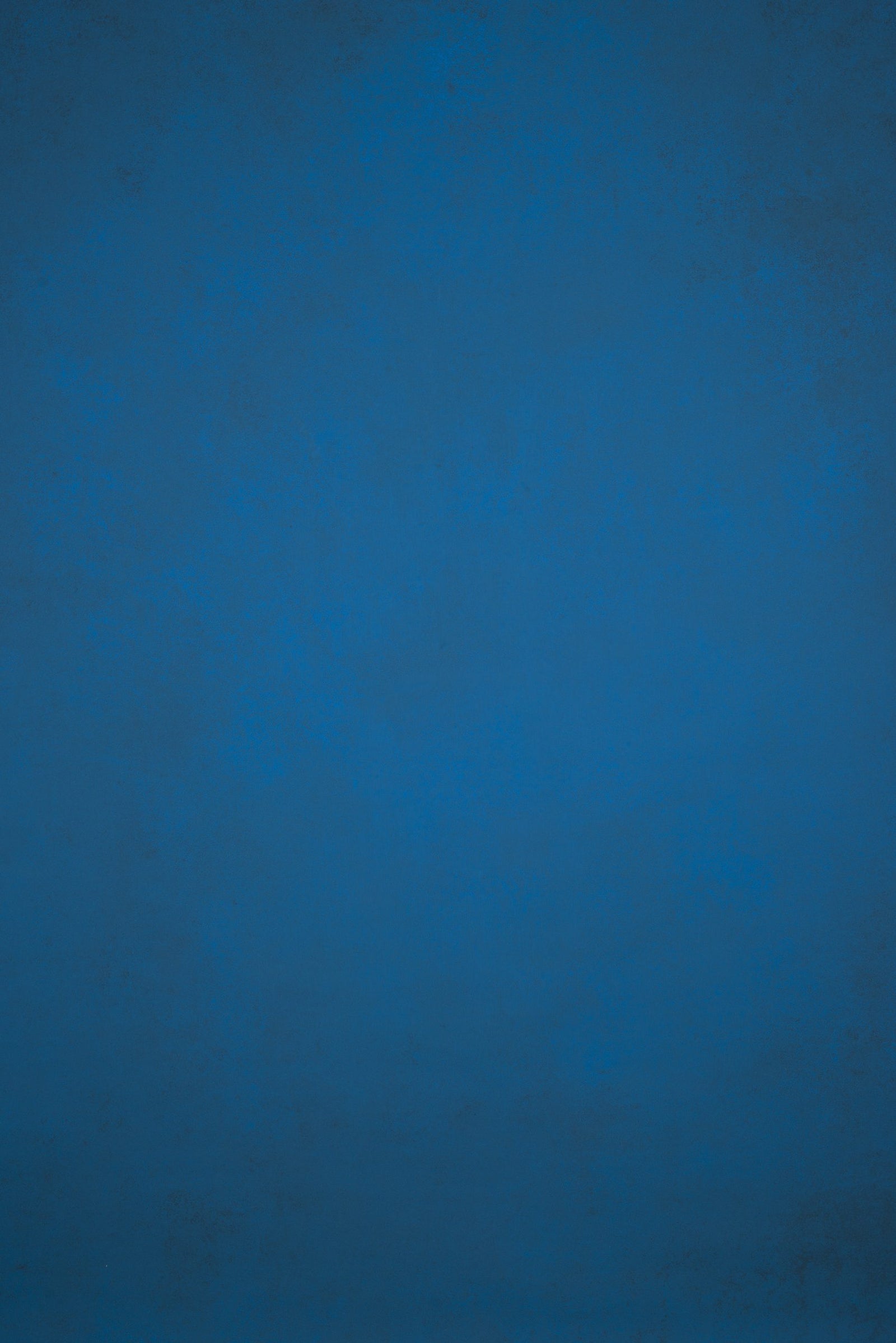 12135 Blue Mid Text L