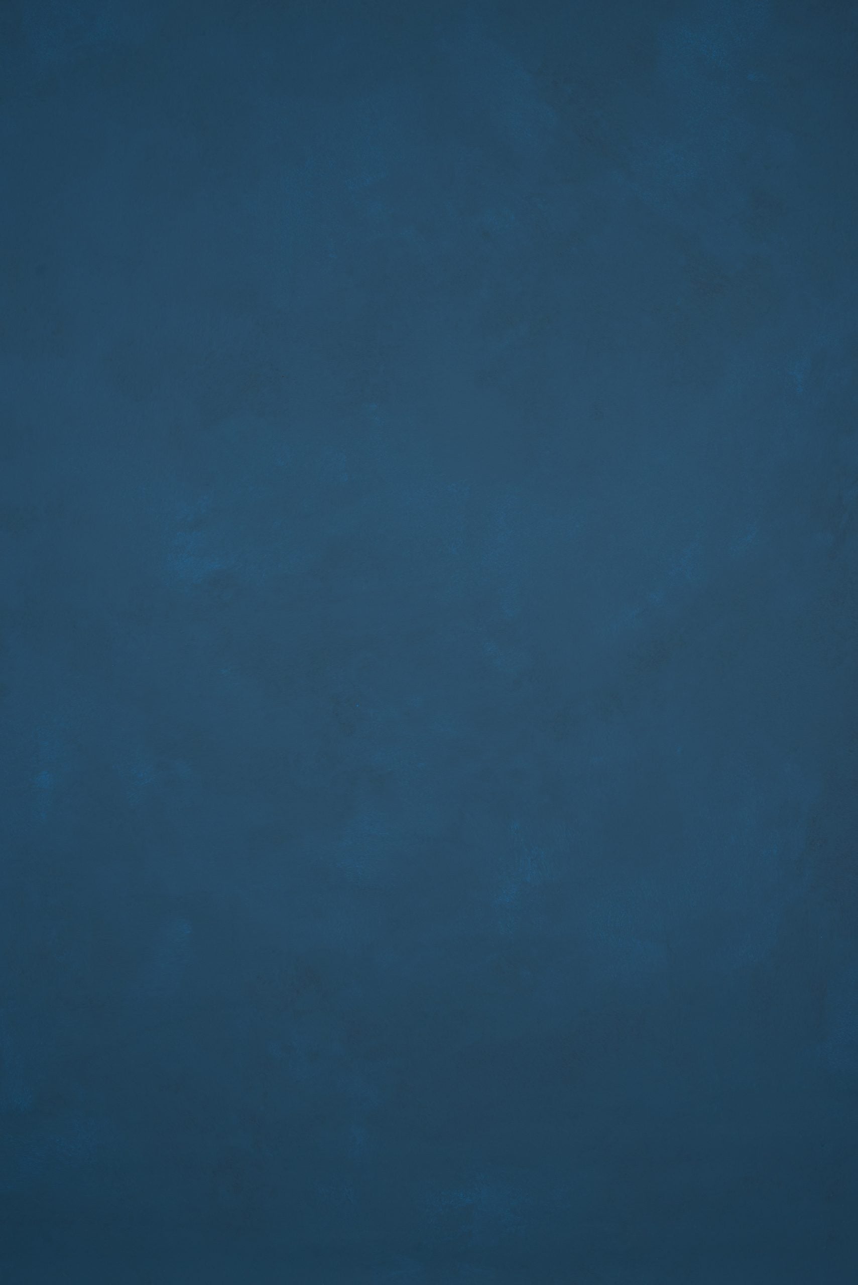 12136 Blue Mid Text L