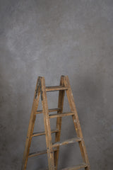 12166 Warm Grey Mid Text M