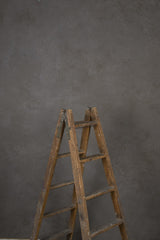12167 Warm Grey Mid Text M