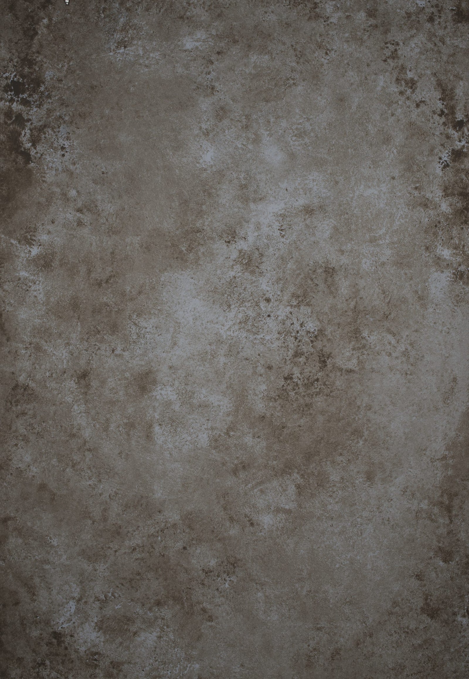 Cold Grey Brown Backdrop Strong Text M 12170
